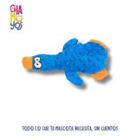 Accesorios para Mascotas