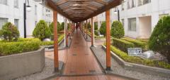 Alquiler  Apartamento 11 702