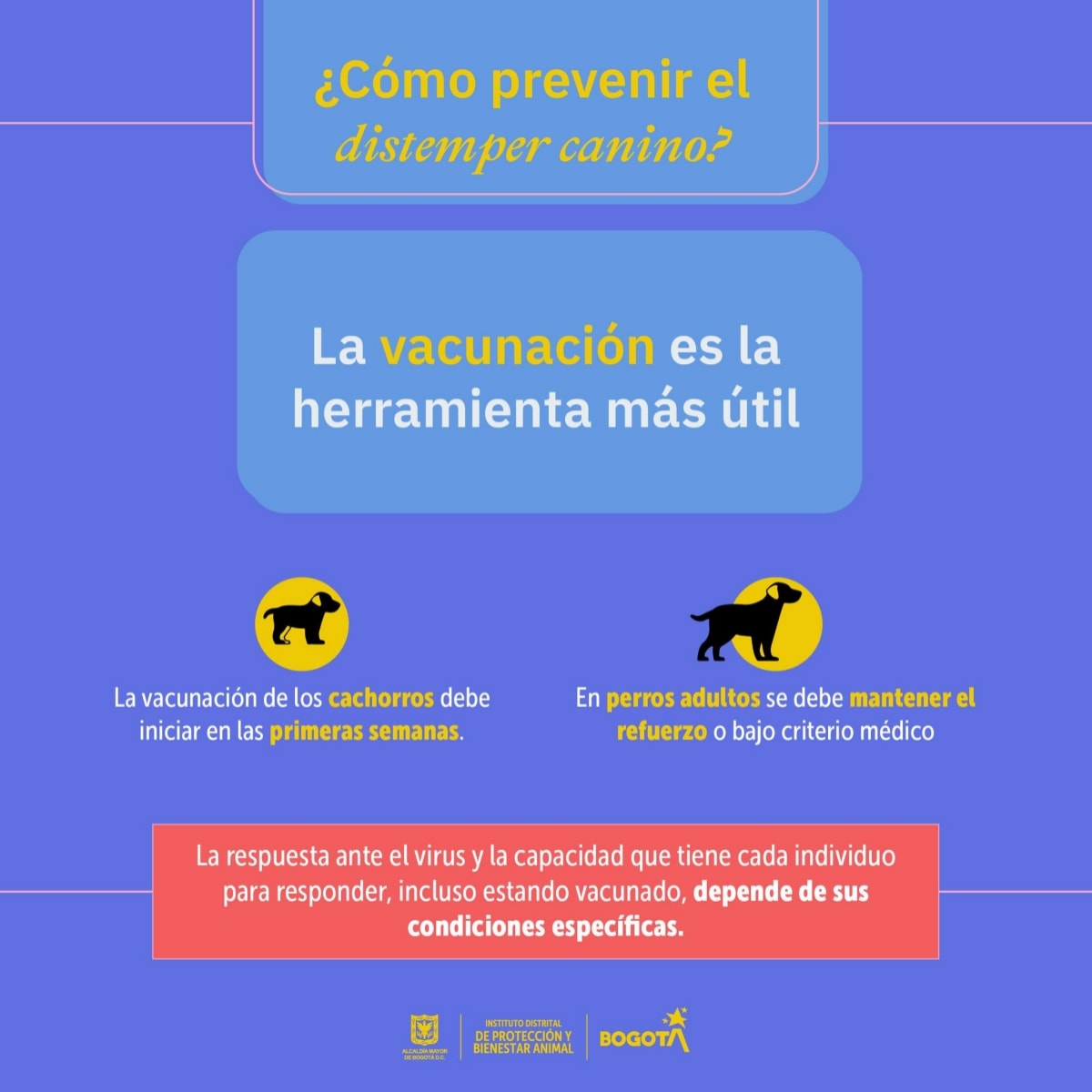 27-07-2022, Noticia: Brote de Moquillo / Distemper Canino en Bogotá